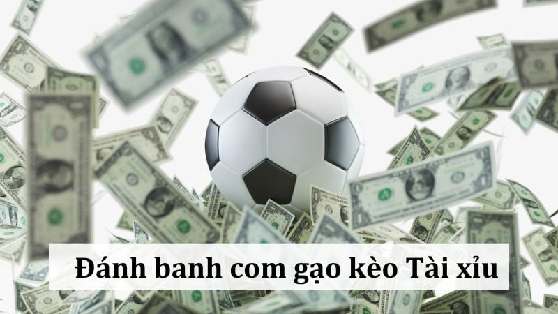 Chiến thuật đánh banh com gạo kèo Tài toàn trận