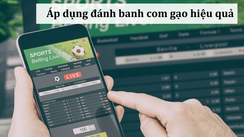 Lựa chọn nhà cái uy tín cho việc đánh banh com gạo