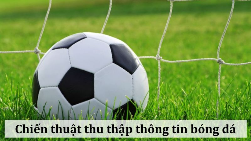 Thu thập thông tin để áp dụng công thức cá độ bóng đá