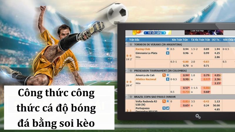 Phương pháp soi kèo trong cá độ bóng đá