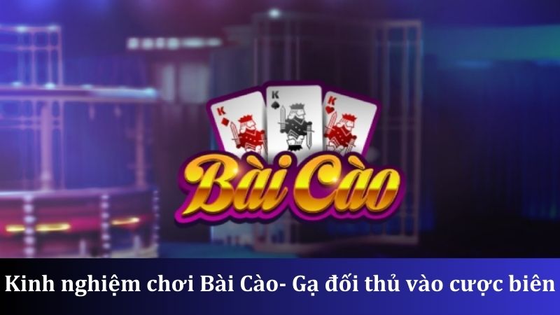 Gạ đối thủ vào cược biên khi chơi Bài Cào