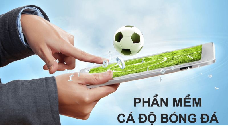 Phân tích chi tiết về phần mềm cá độ bóng đá 