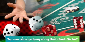 8 bí quyết chơi Sicbo - Chiến thuật từ các game thủ